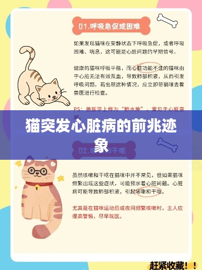 猫突发心脏病的前兆迹象