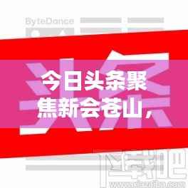 今日头条聚焦新会苍山，最新新闻报道汇总