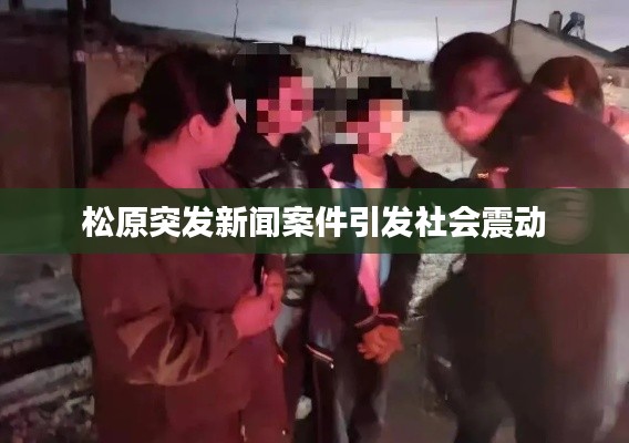 松原突发新闻案件引发社会震动