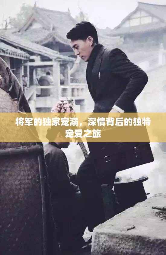 将军的独家宠溺，深情背后的独特宠爱之旅