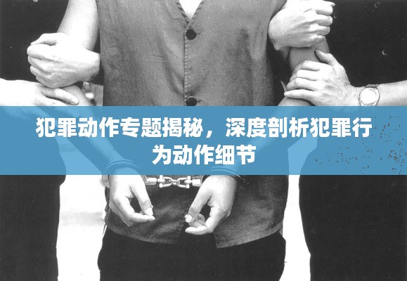 犯罪动作专题揭秘,深度剖析犯罪行为动作细节