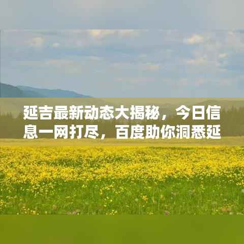 延吉最新动态大揭秘,今日信息一网打尽,百度助你洞悉延吉风情