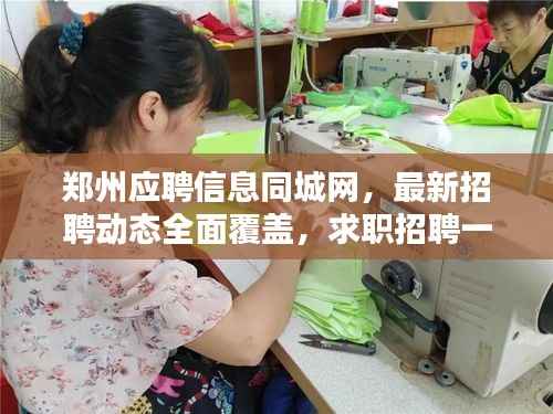郑州应聘信息同城网,最新招聘动态全面覆盖,求职招聘一键搞定!
