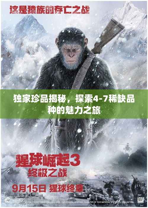 独家珍品揭秘，探索4-7稀缺品种的魅力之旅