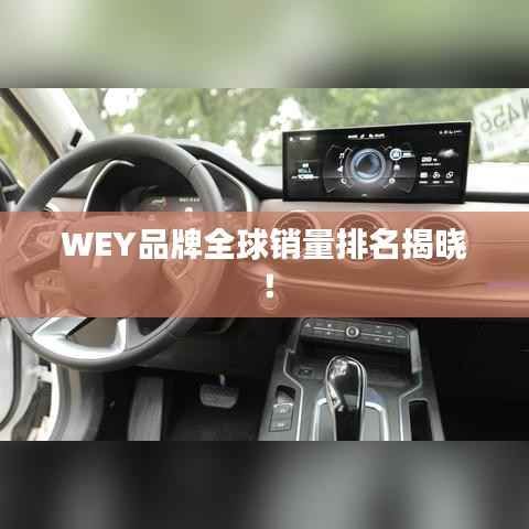 WEY品牌全球销量排名揭晓!