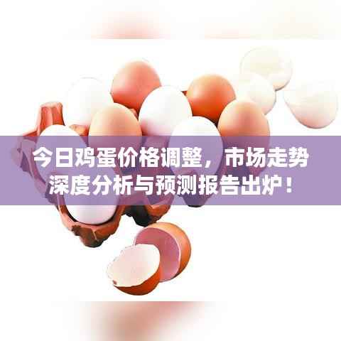 今日鸡蛋价格调整,市场走势深度分析与预测报告出炉!