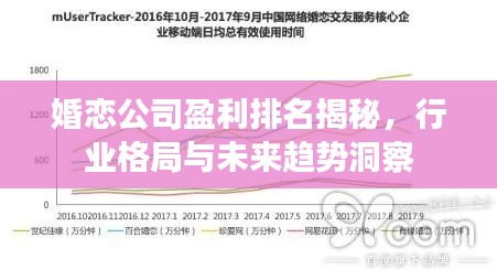 婚恋公司盈利排名揭秘，行业格局与未来趋势洞察