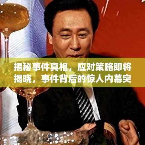 揭秘事件真相,应对策略即将揭晓,事件背后的惊人内幕突发声明!
