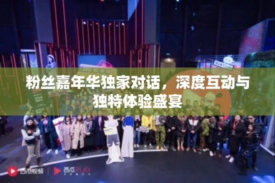 粉丝嘉年华独家对话,深度互动与独特体验盛宴