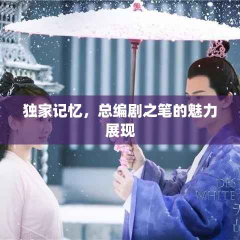 独家记忆,总编剧之笔的魅力展现