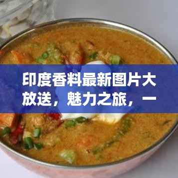 印度香料最新图片大放送,魅力之旅,一览香料世界!