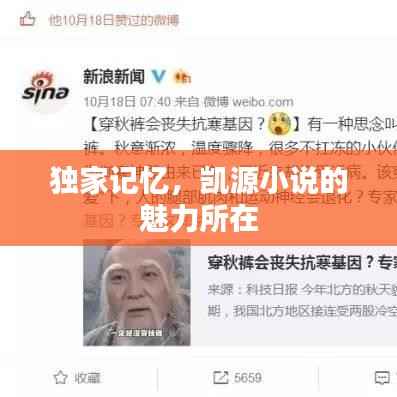 独家记忆,凯源小说的魅力所在
