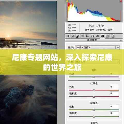 尼康专题网站,深入探索尼康的世界之旅