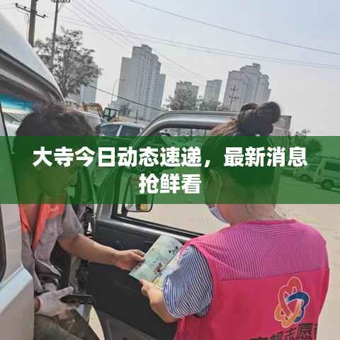 大寺今日动态速递,最新消息抢鲜看