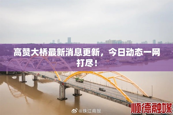 高赞大桥最新消息更新，今日动态一网打尽！