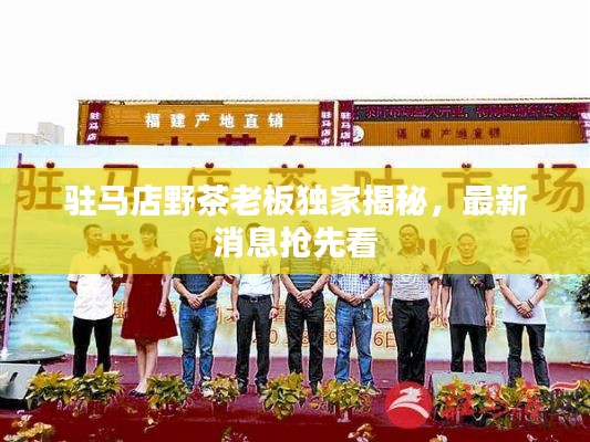 驻马店野茶老板独家揭秘，最新消息抢先看