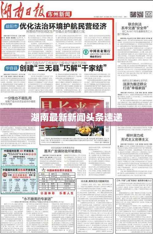 湖南最新新闻头条速递