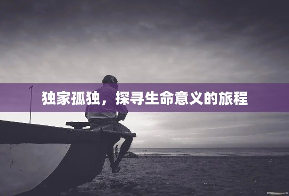 独家孤独，探寻生命意义的旅程
